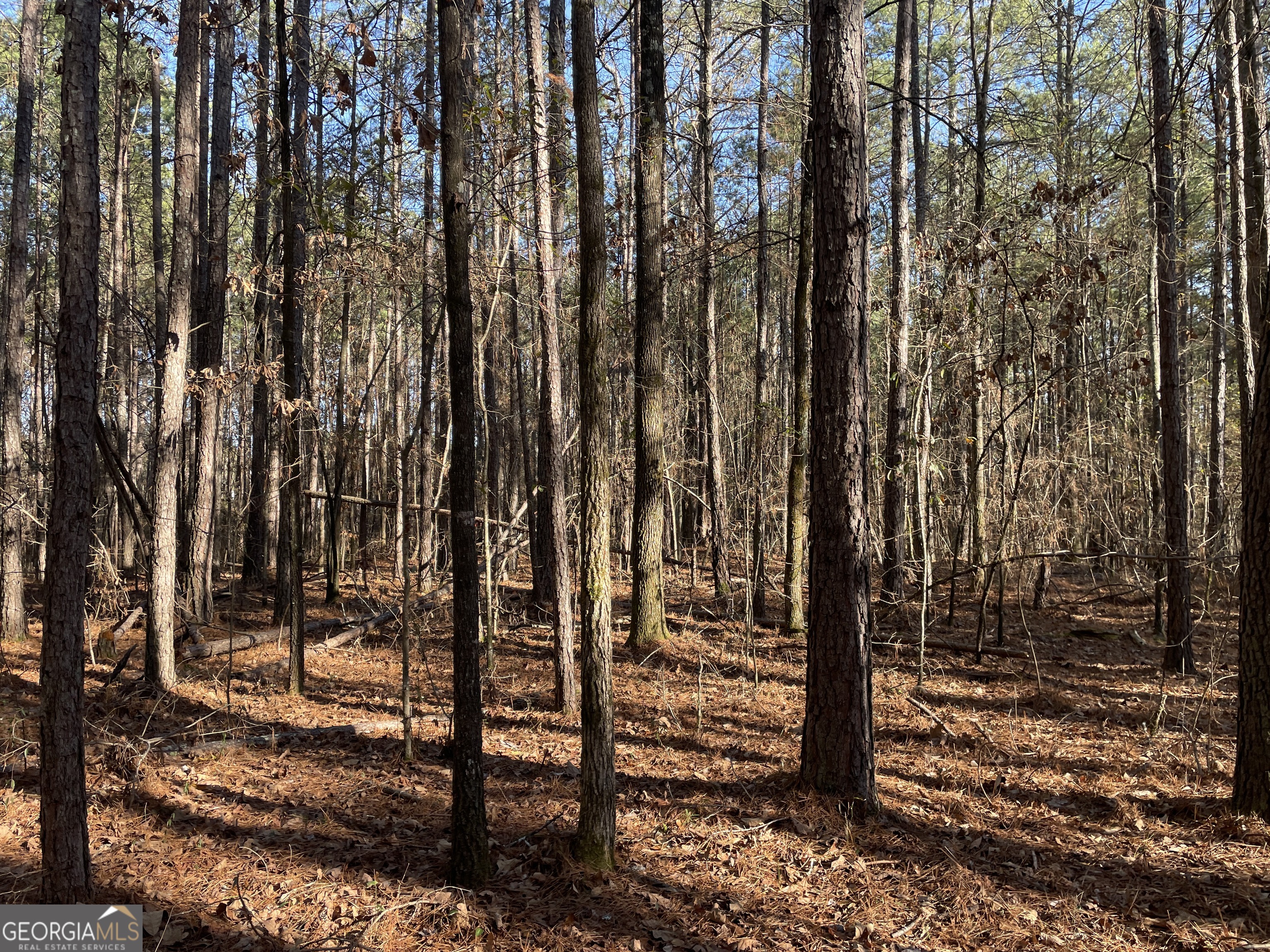 0 S Highway 81 Covington GA 30016