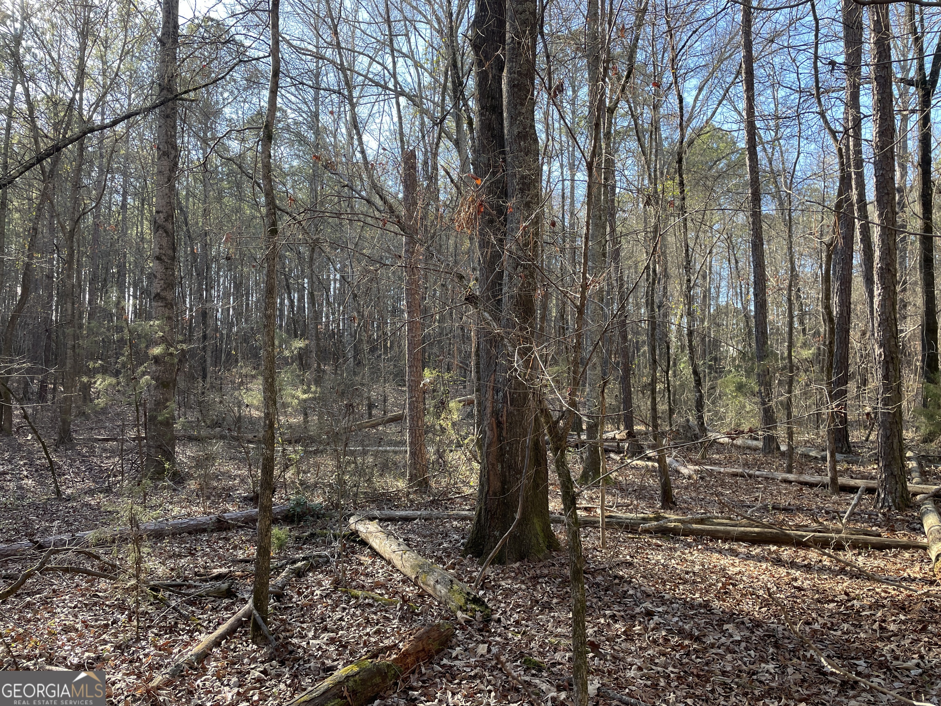 0 S Highway 81 Covington GA 30016