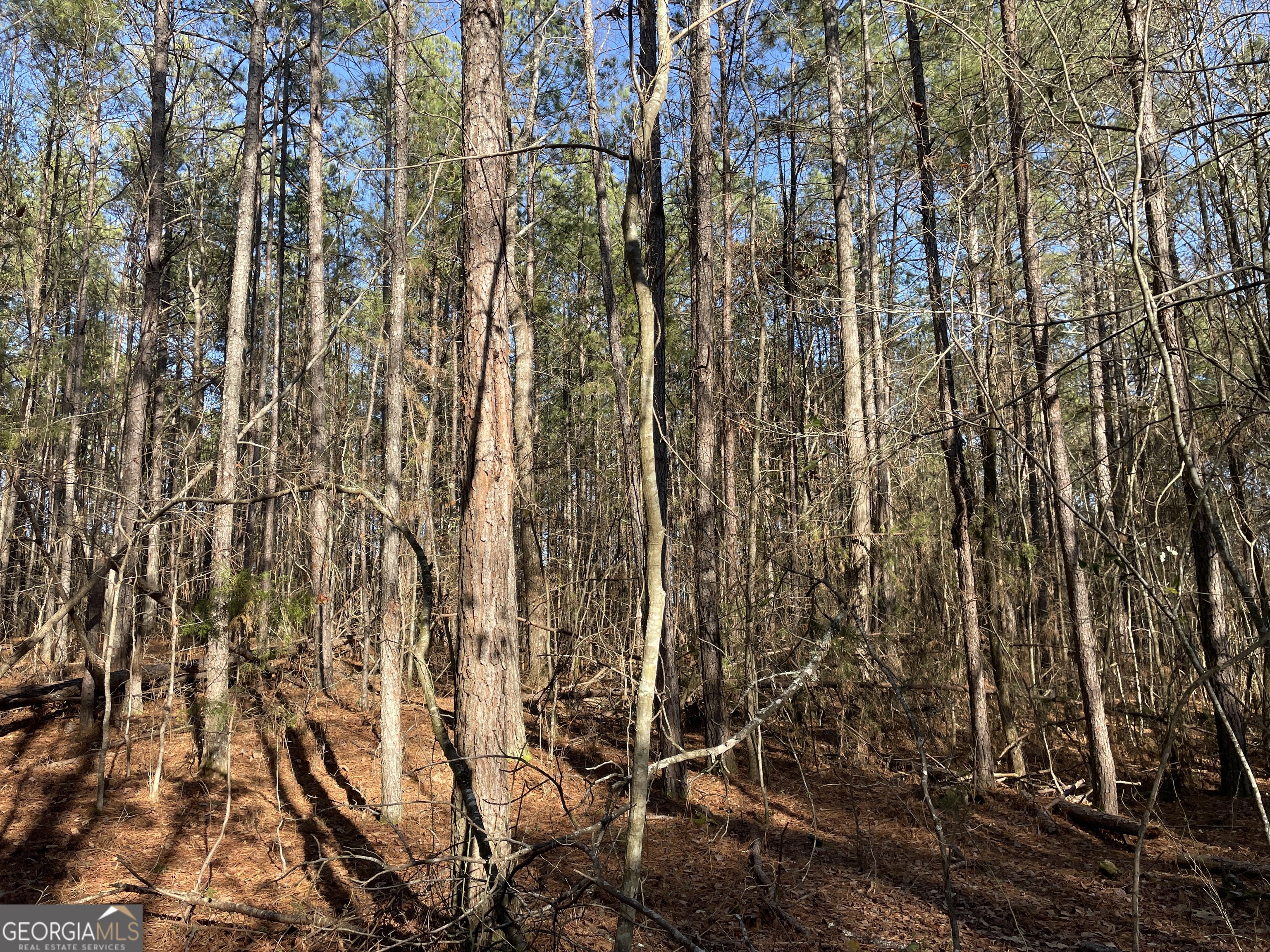 0 S Highway 81 Covington GA 30016