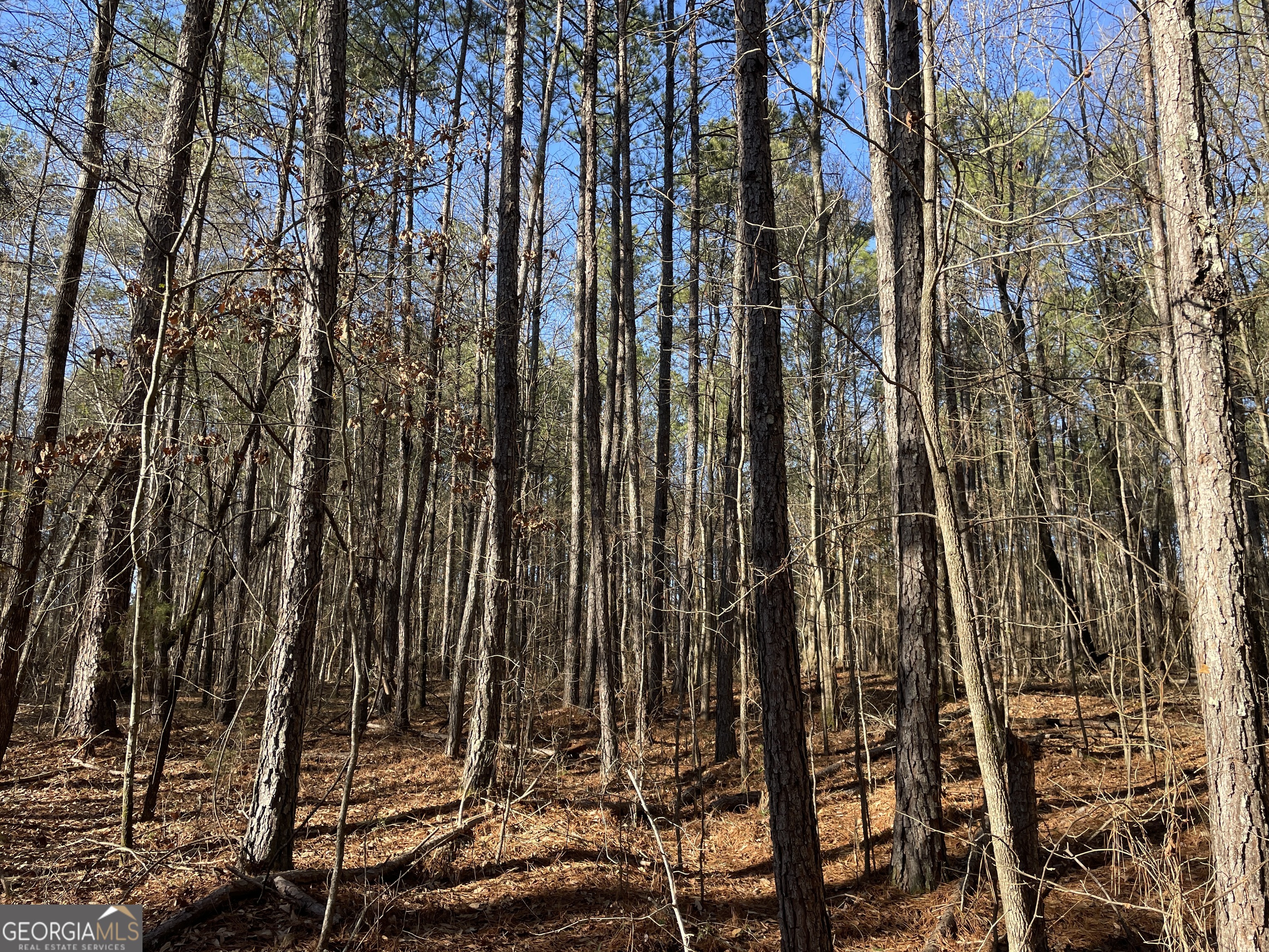 0 S Highway 81 Covington GA 30016
