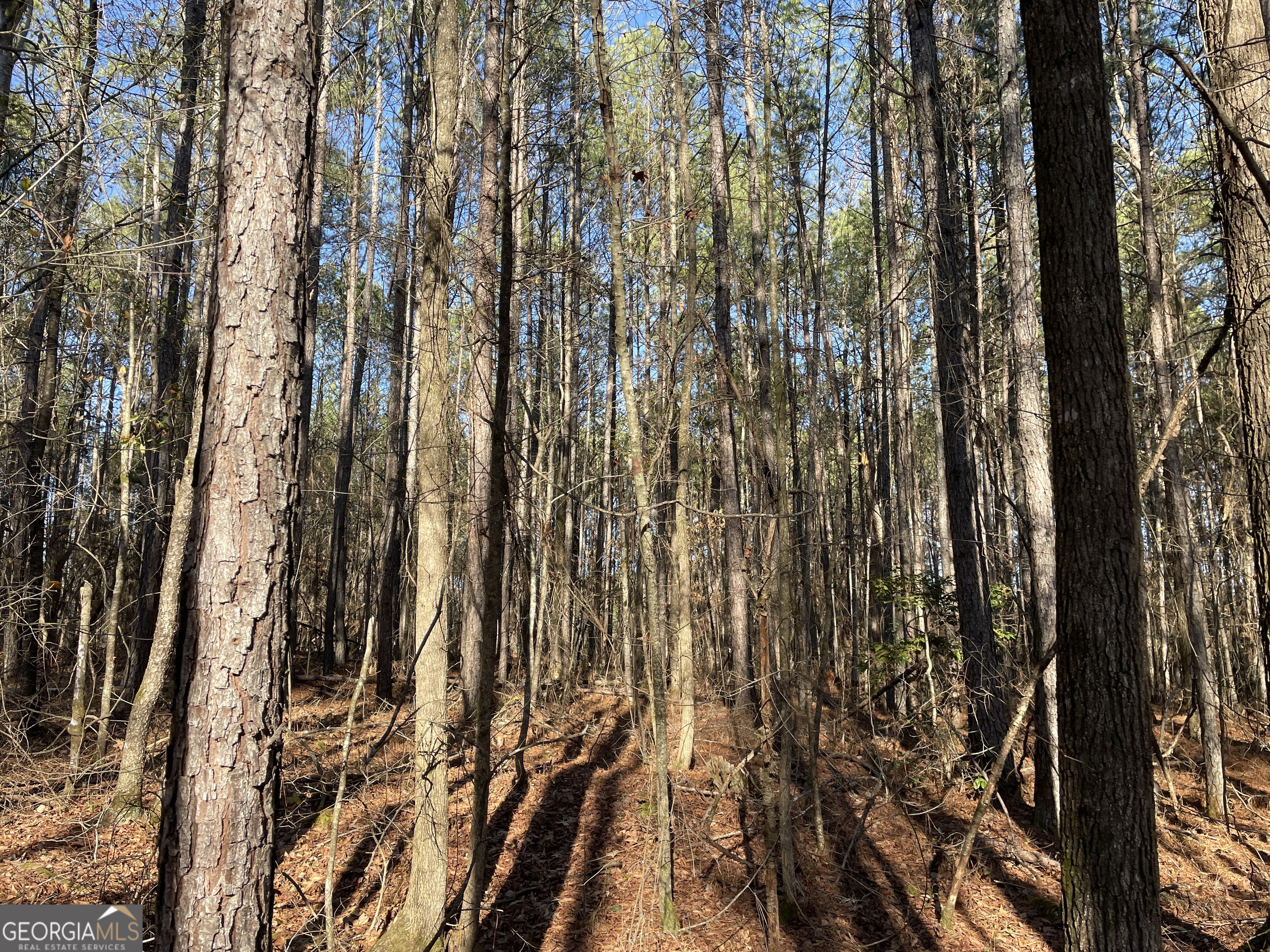 0 S Highway 81 Covington GA 30016