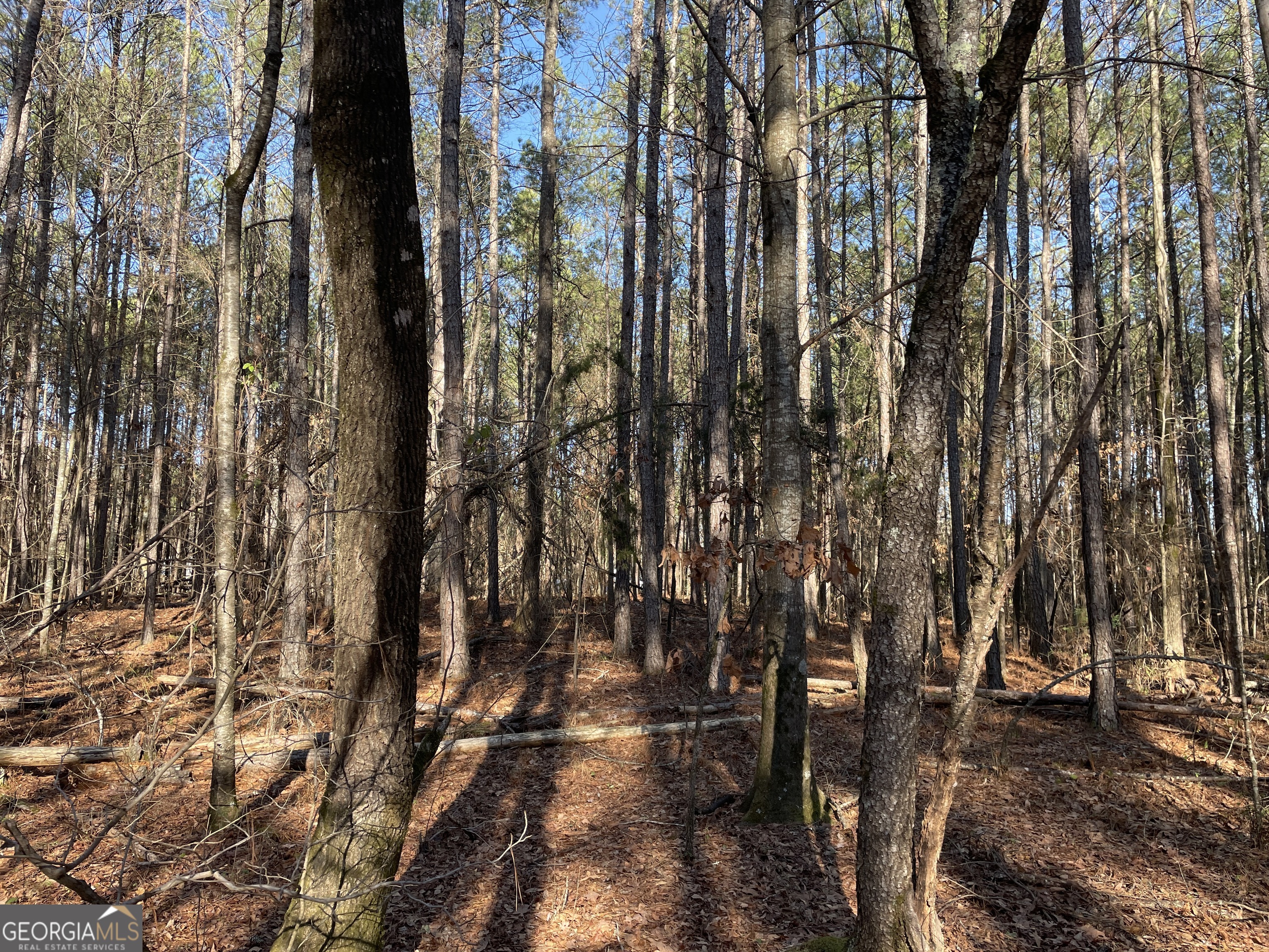 0 S Highway 81 Covington GA 30016