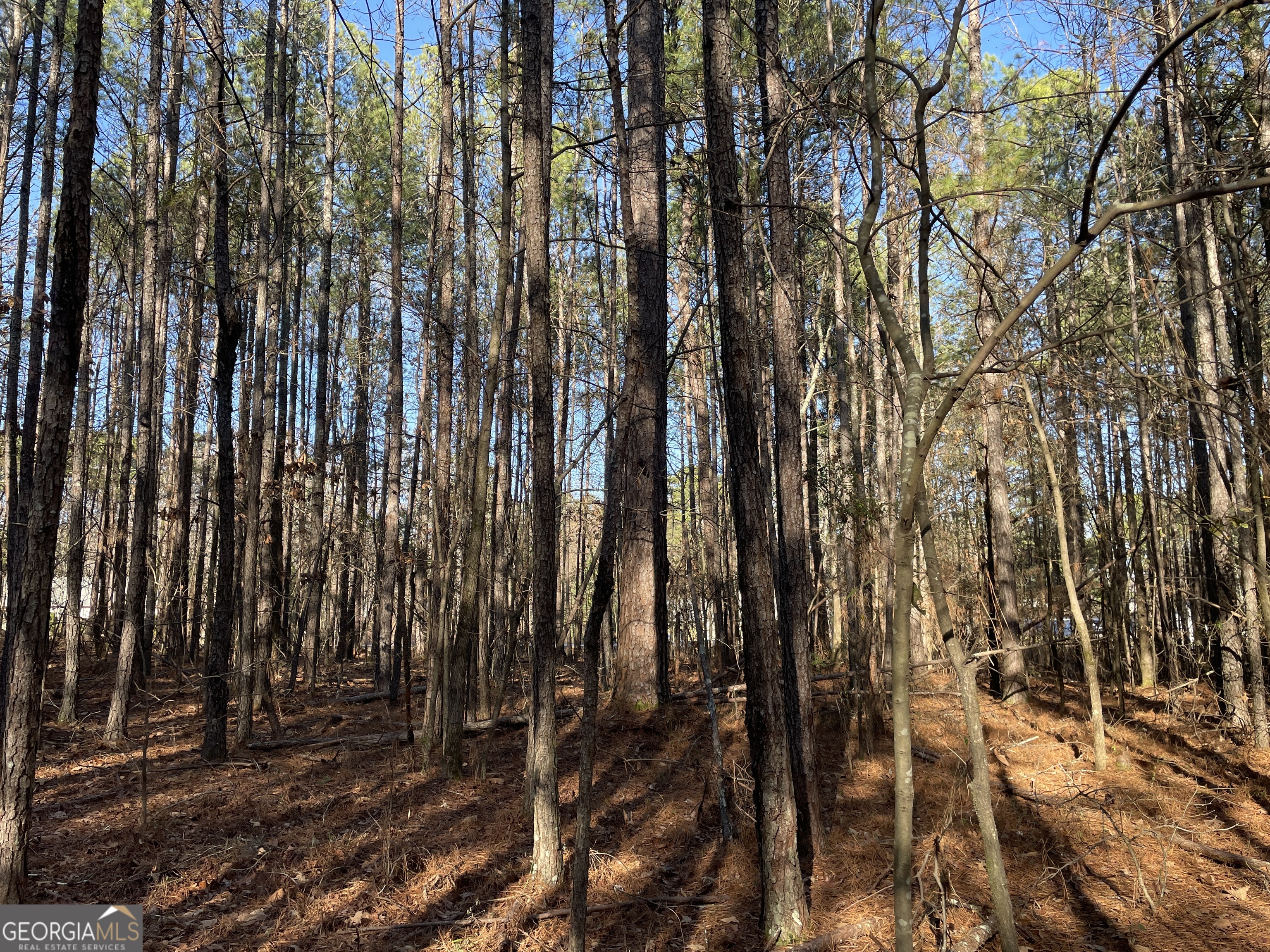 0 S Highway 81 Covington GA 30016