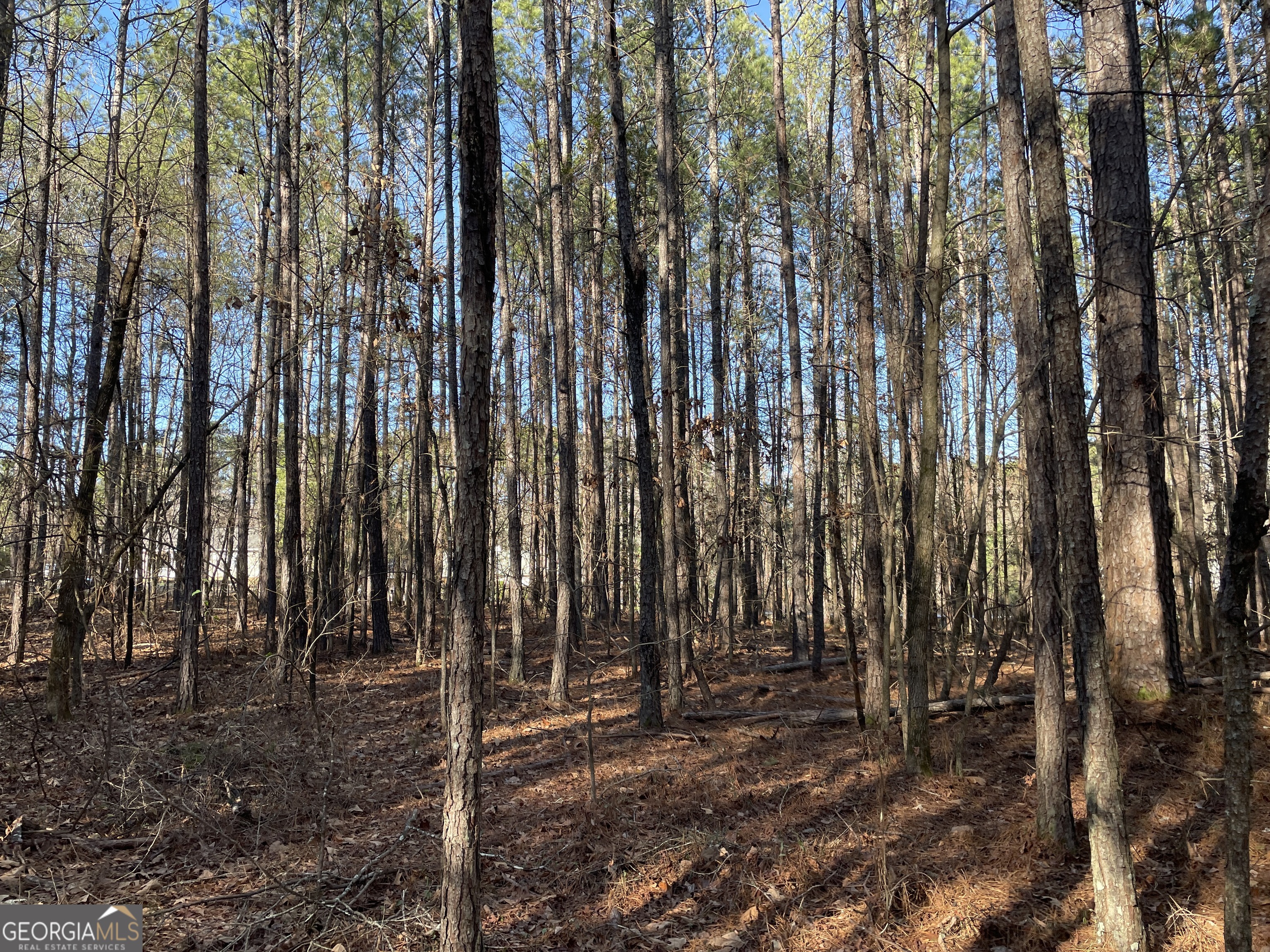 0 S Highway 81 Covington GA 30016