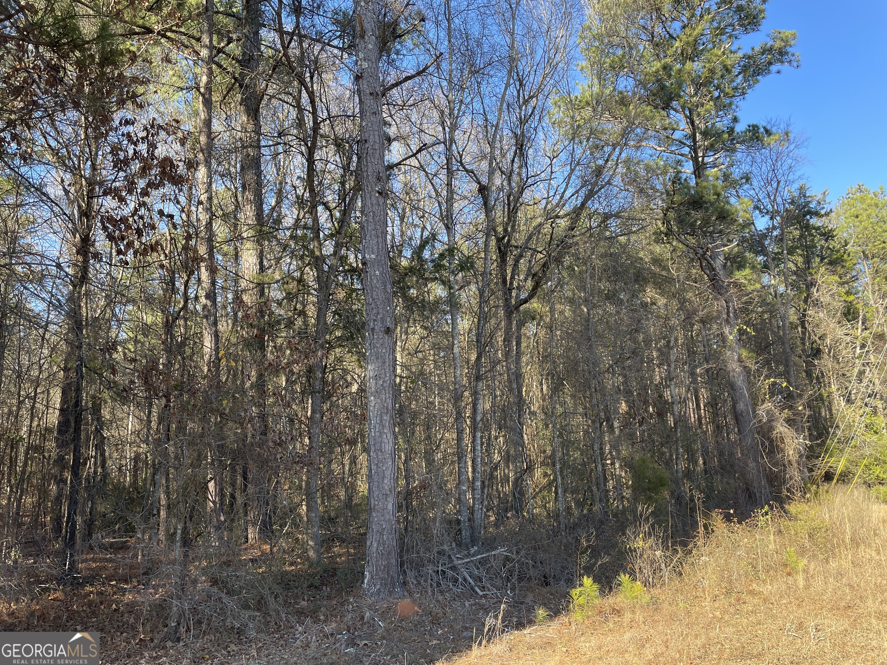 0 S Highway 81 Covington GA 30016