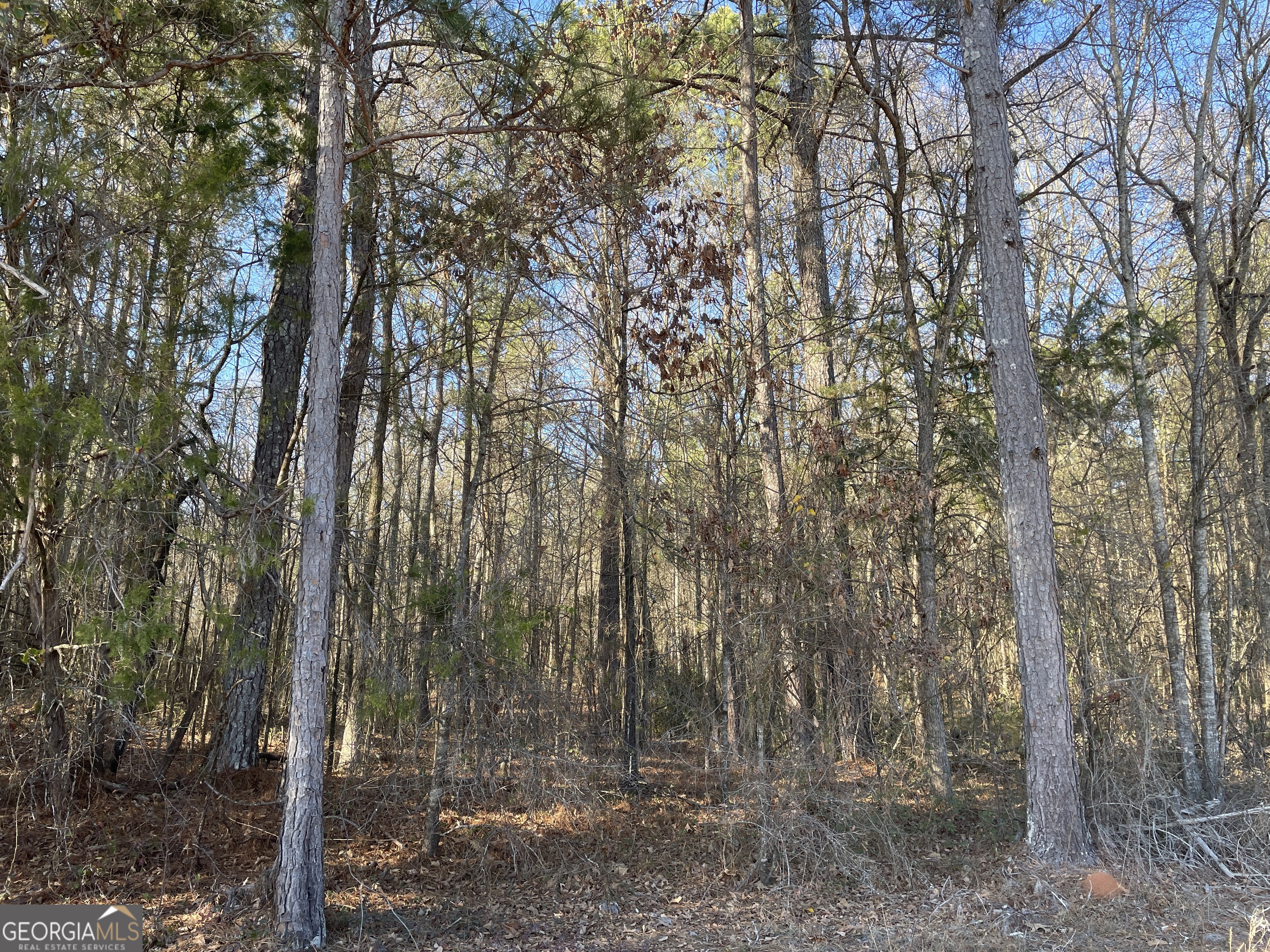 0 S Highway 81 Covington GA 30016