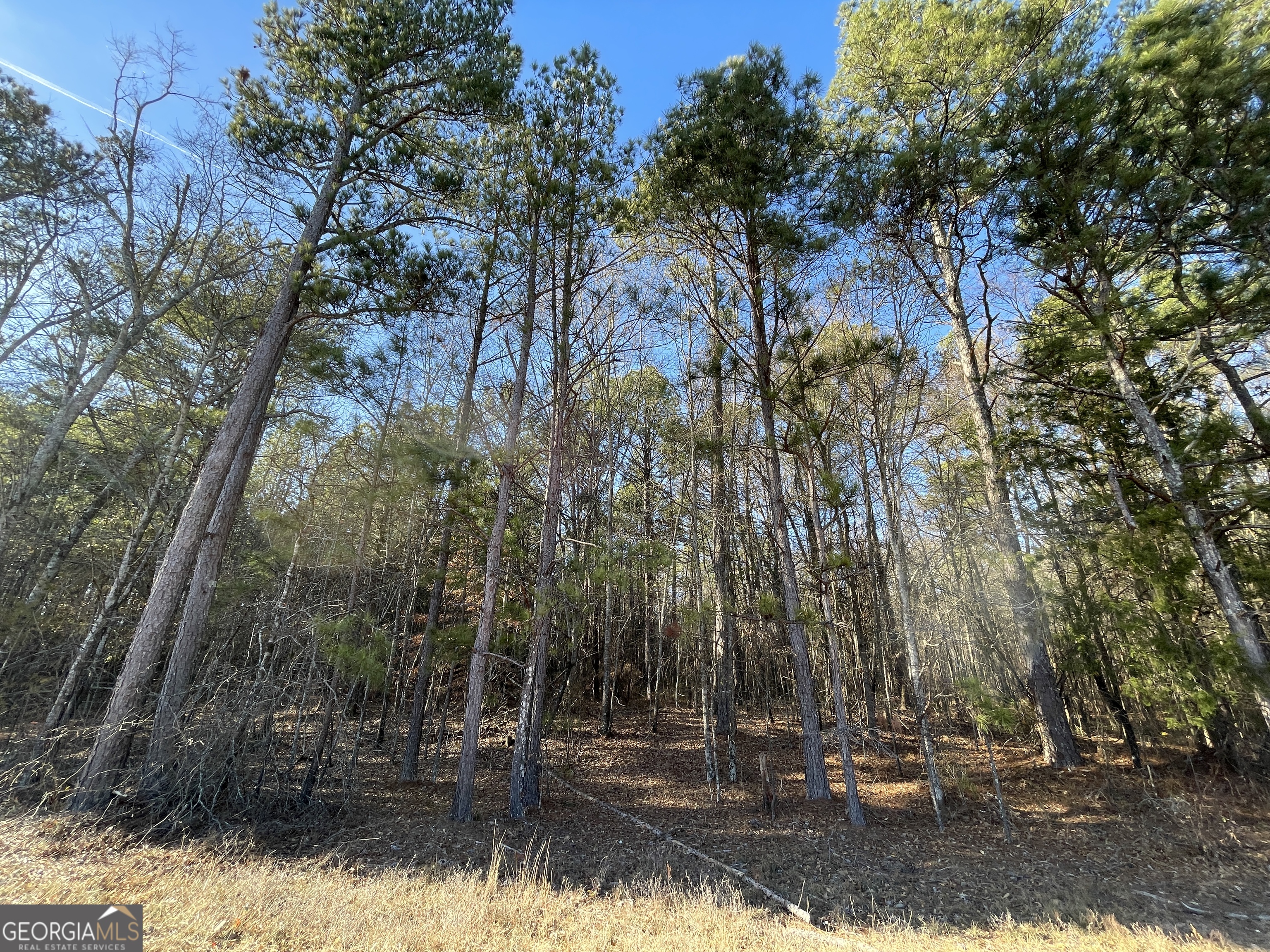 0 S Highway 81 Covington GA 30016