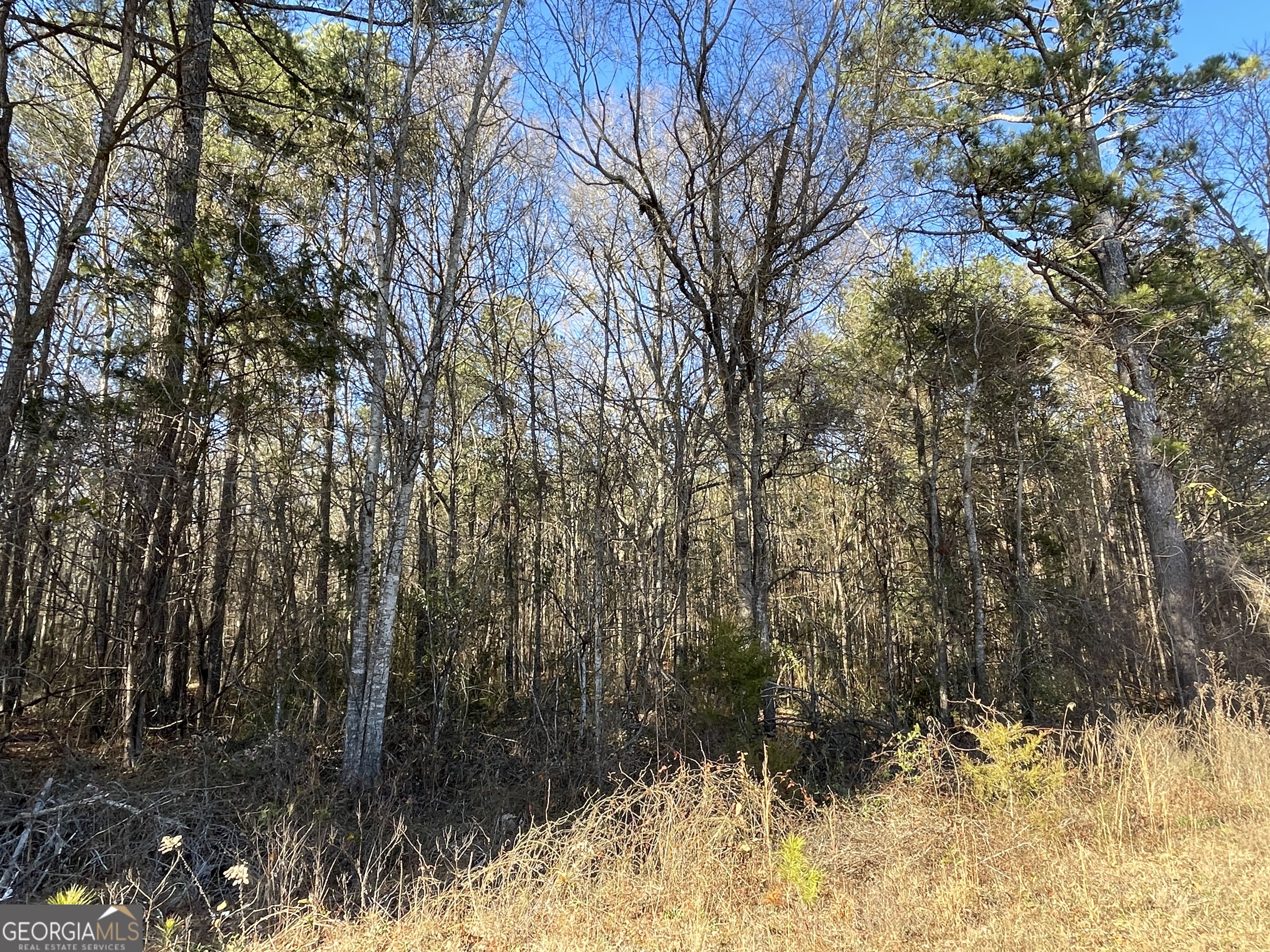 0 S Highway 81 Covington GA 30016