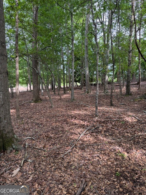 357 Linwood Drive Gainesville GA 30501