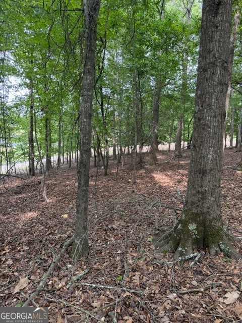 357 Linwood Drive Gainesville GA 30501