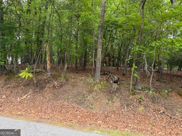 357 Linwood Drive Gainesville GA 30501