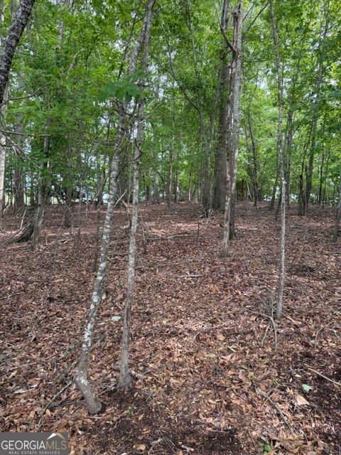 357 Linwood Drive Gainesville GA 30501