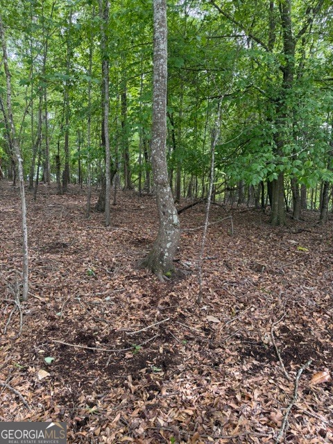 357 Linwood Drive Gainesville GA 30501