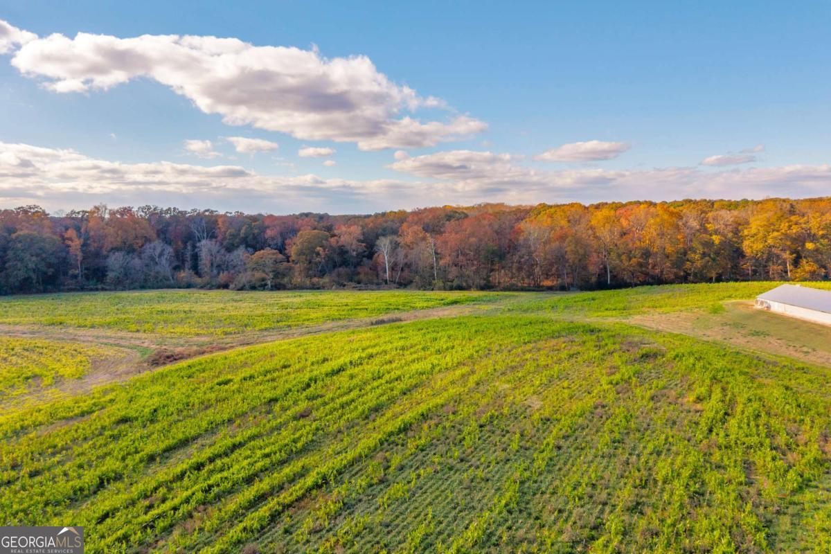 0 Royston Highway Royston GA 30662