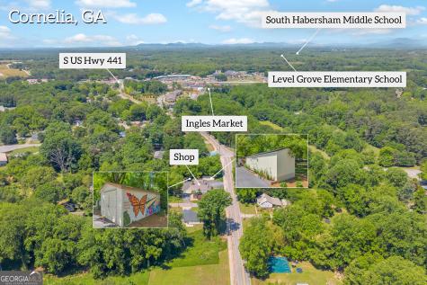 498 Level Grove Road Cornelia GA 30531