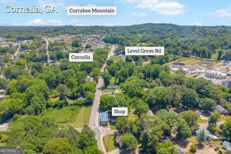 498 Level Grove Road Cornelia GA 30531