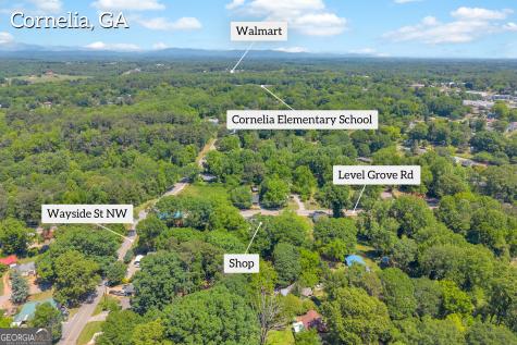 498 Level Grove Road Cornelia GA 30531
