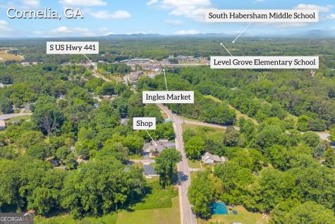 498 Level Grove Road Cornelia GA 30531