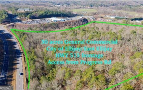 944 Progress Road East Ellijay GA 30540