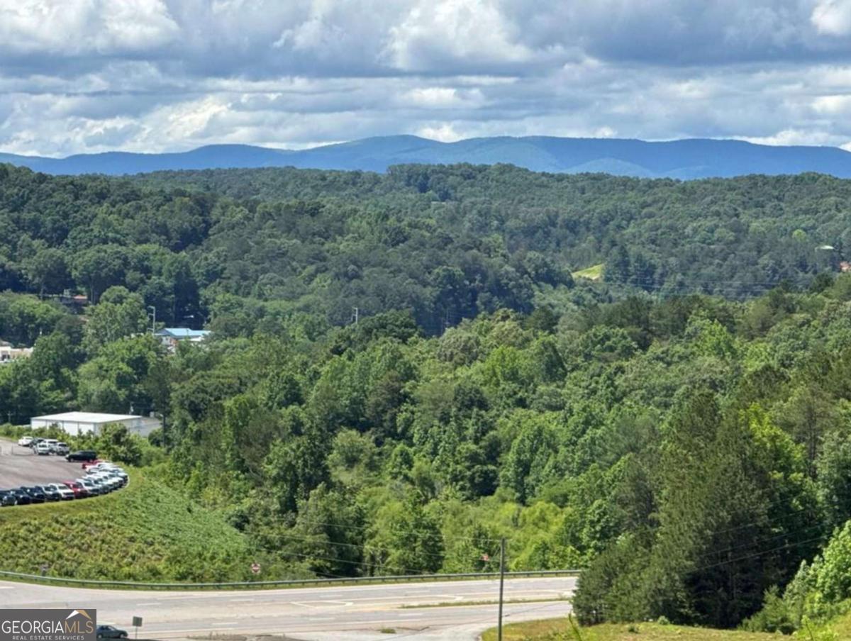 944 Progress Road East Ellijay GA 30540