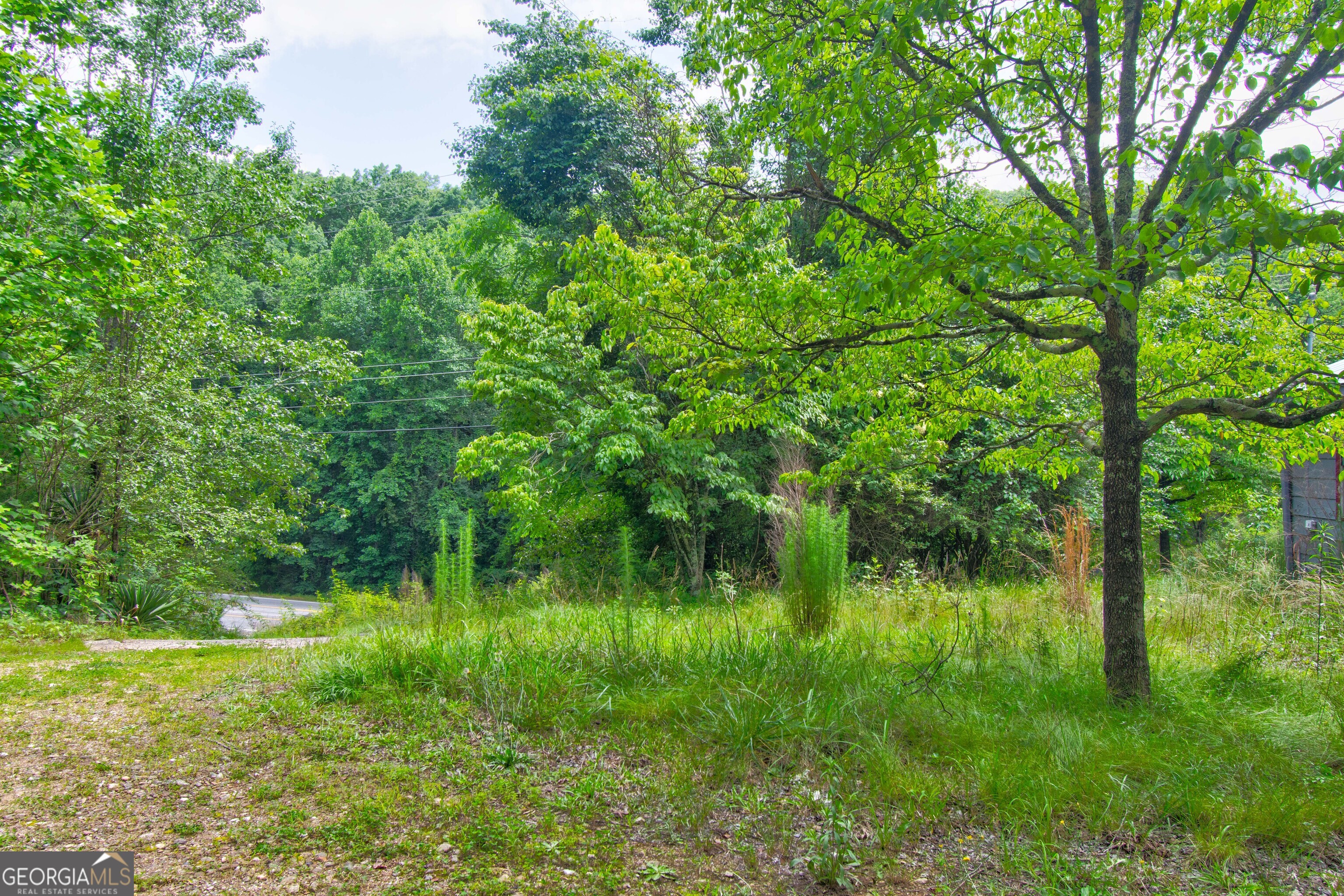 6439 S Chestatee Street Dahlonega GA 30533