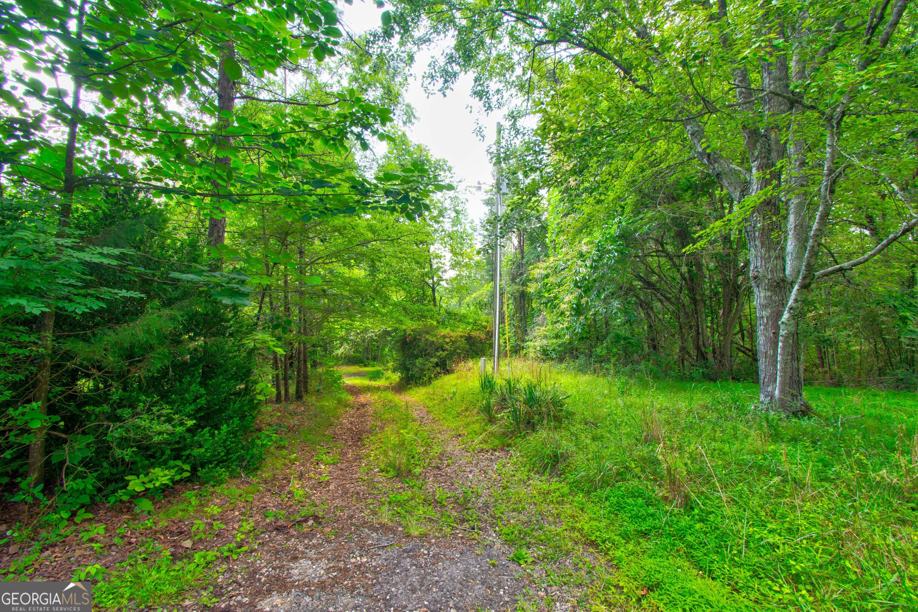 6439 S Chestatee Street Dahlonega GA 30533