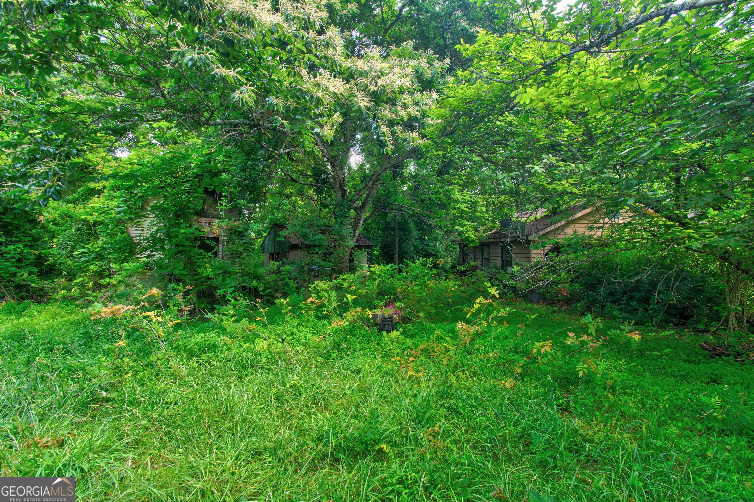 6439 S Chestatee Street Dahlonega GA 30533