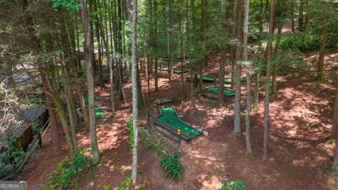 24 Adelaide Drive Blue Ridge GA 30513