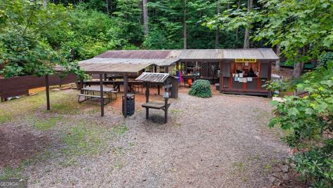 24 Adelaide Drive Blue Ridge GA 30513