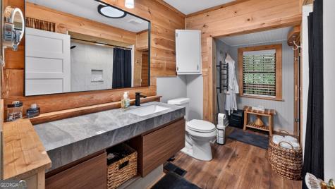 24 Adelaide Drive Blue Ridge GA 30513
