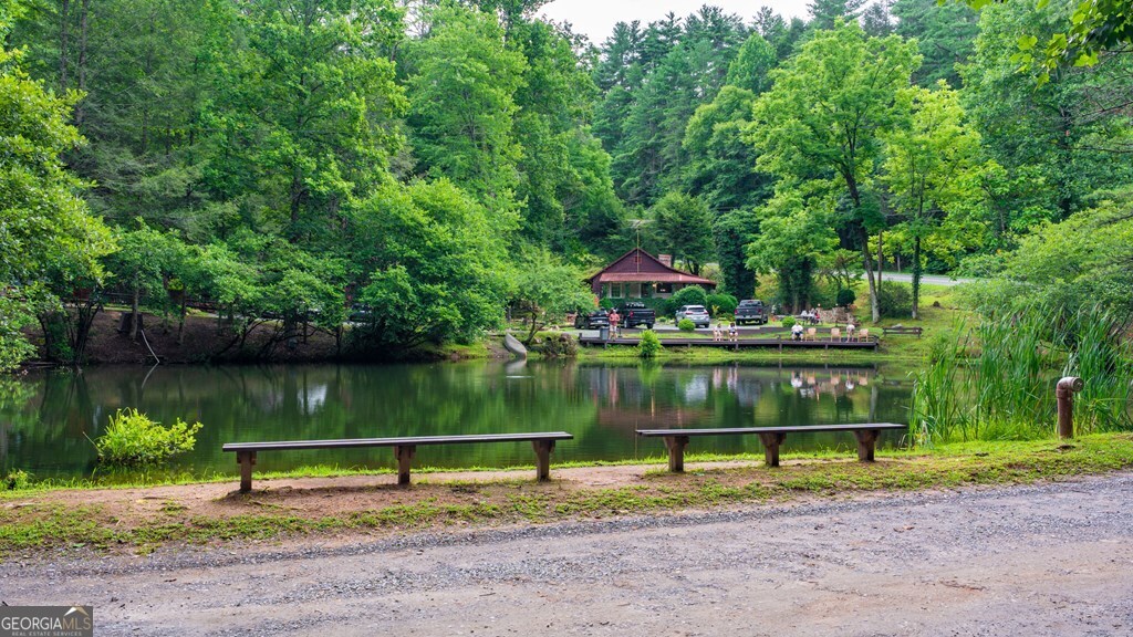 24 Adelaide Drive Blue Ridge GA 30513