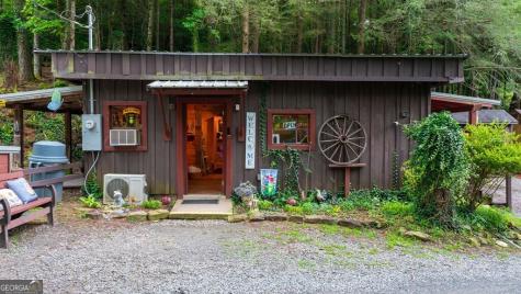 24 Adelaide Drive Blue Ridge GA 30513