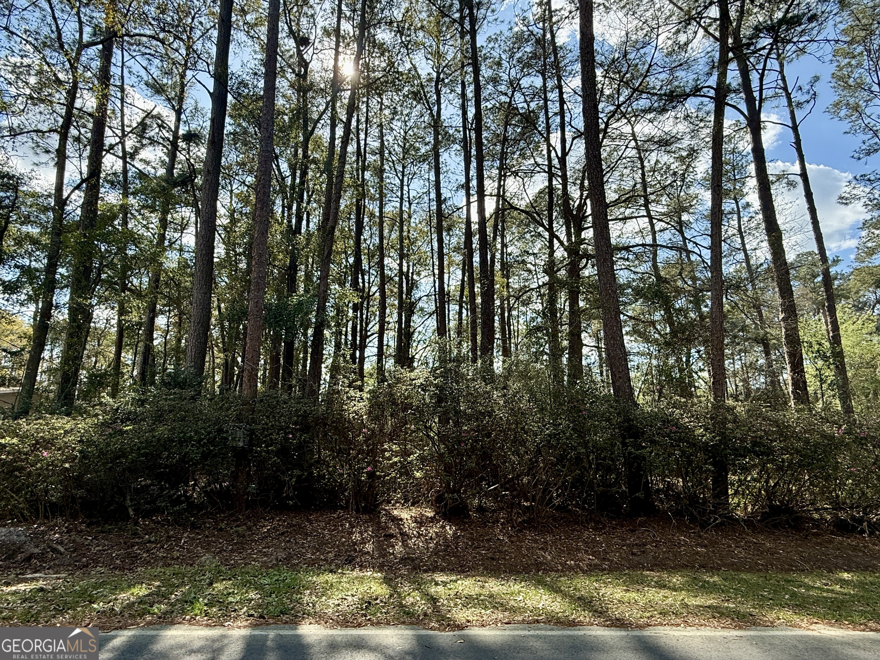 0 N Columbia Avenue Rincon GA 31326