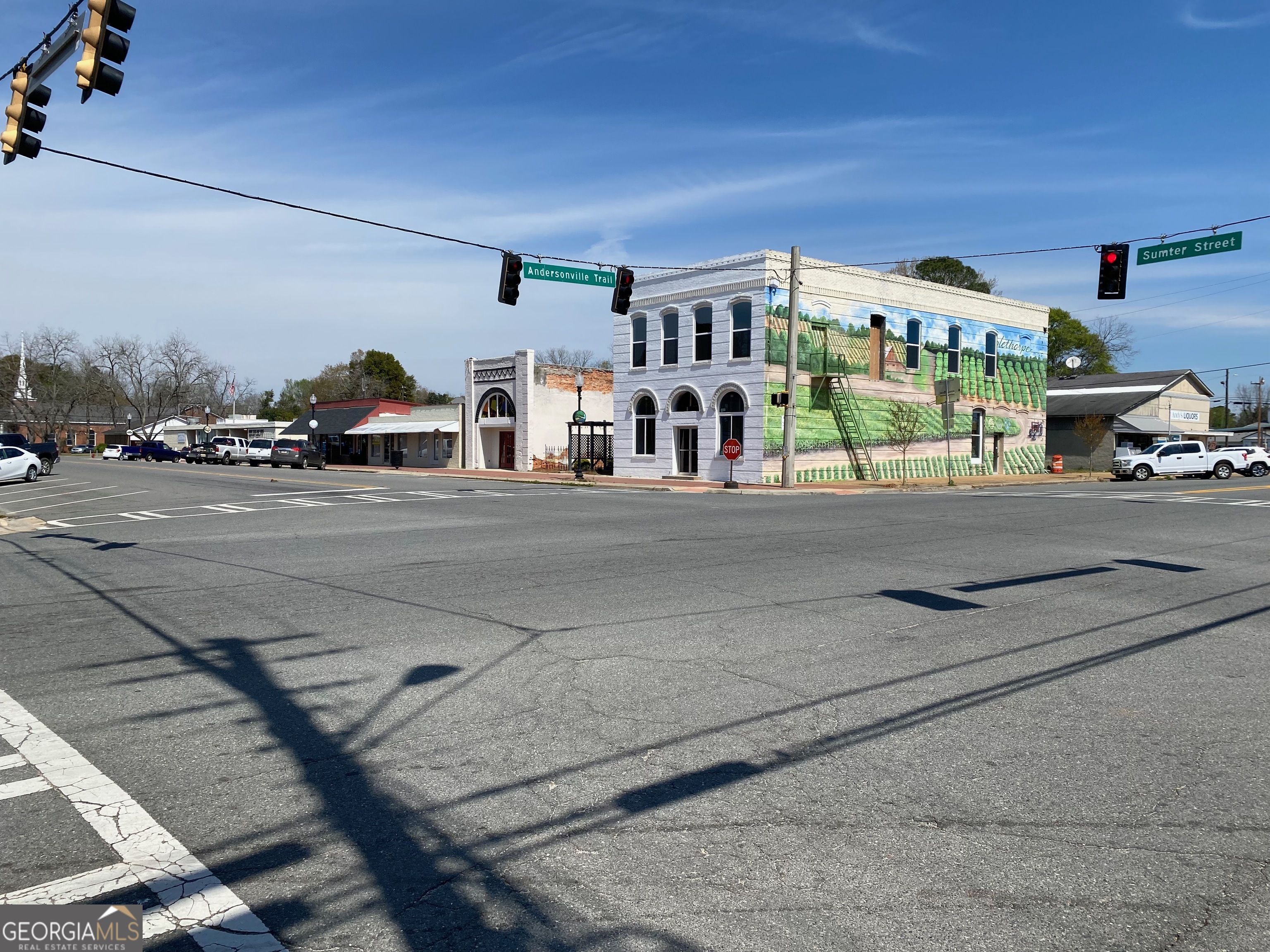 100 Sumter Street Oglethorpe GA 31068