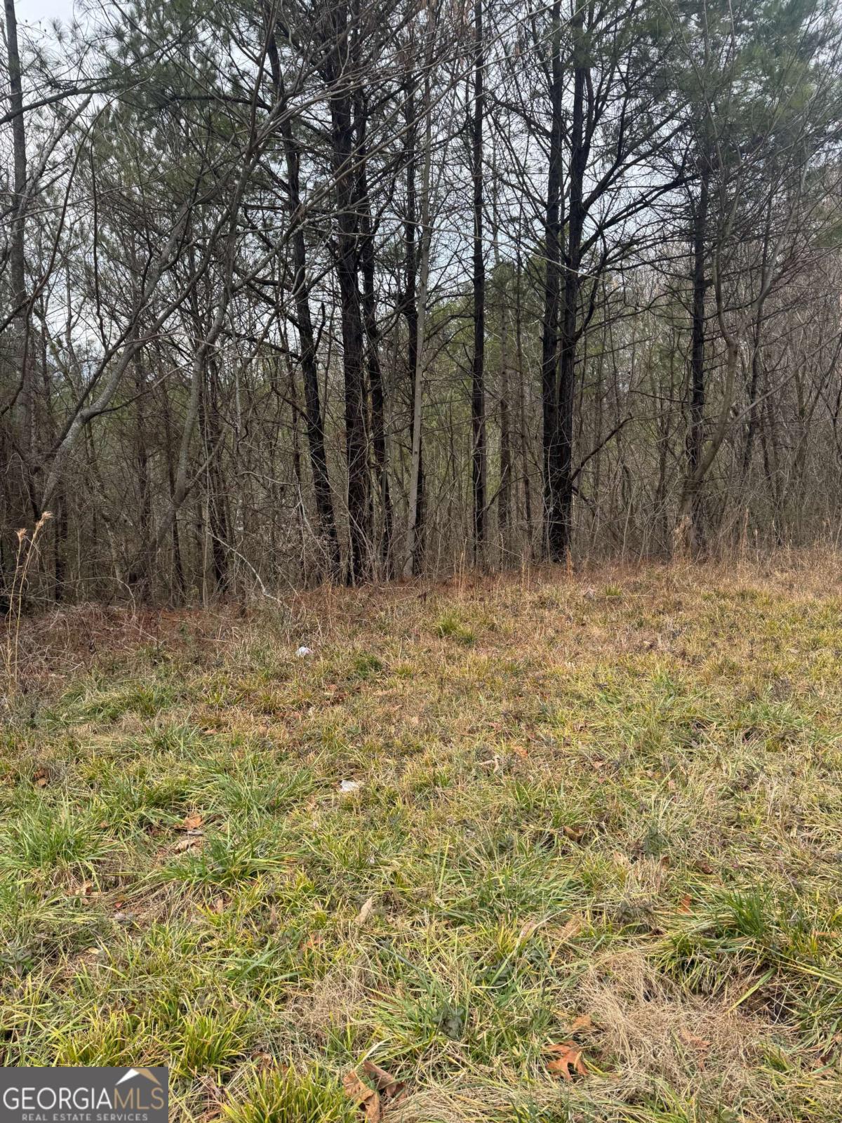0 Ball Ground Highway Ball Ground GA 30107