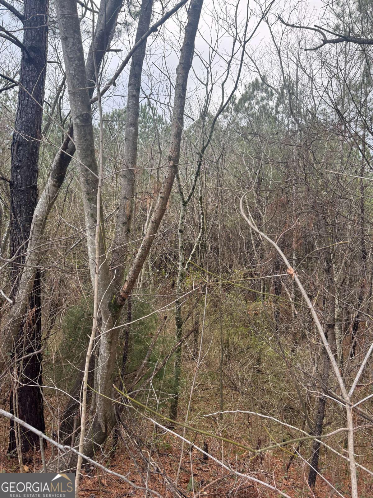 0 Ball Ground Highway Ball Ground GA 30107