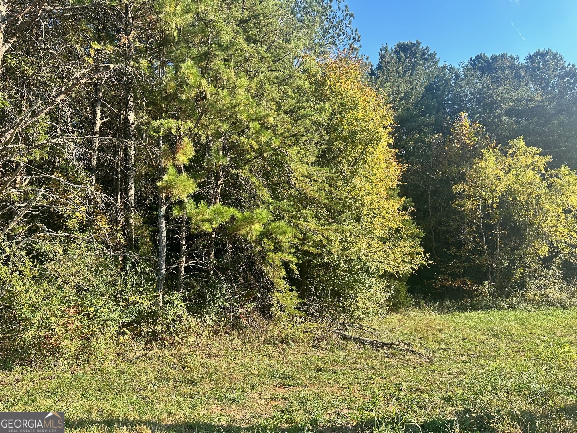 0 Highway 411 NE Rydal GA 30171