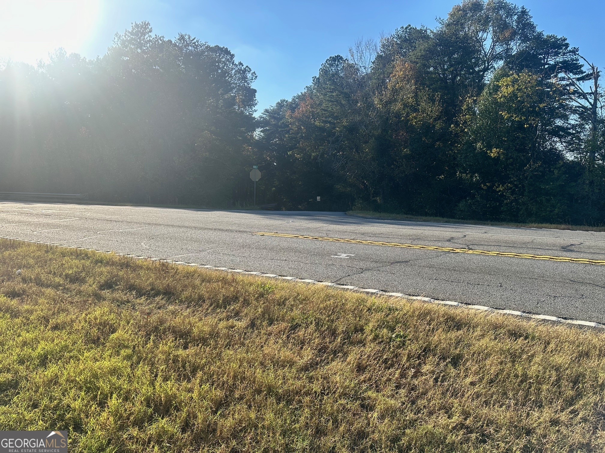 0 Highway 411 NE Rydal GA 30171