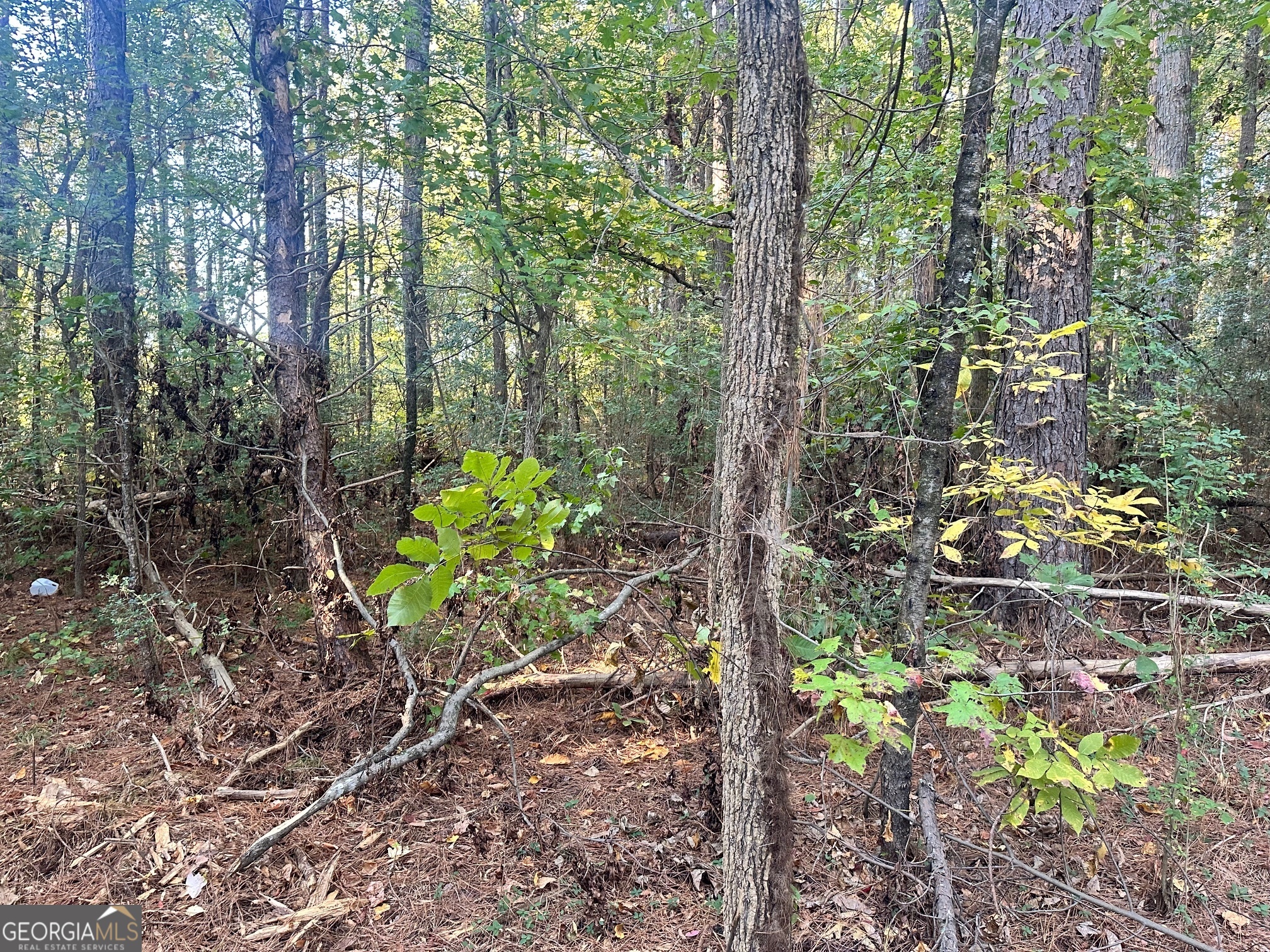 0 Highway 411 NE Rydal GA 30171