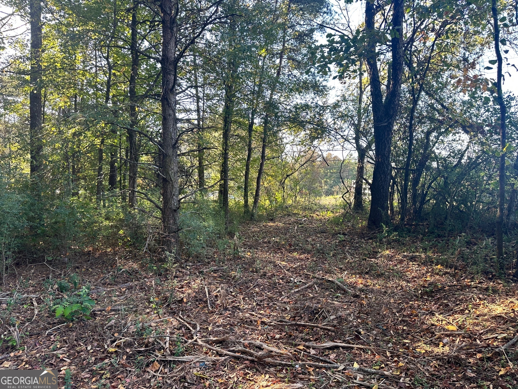 0 Highway 411 NE Rydal GA 30171