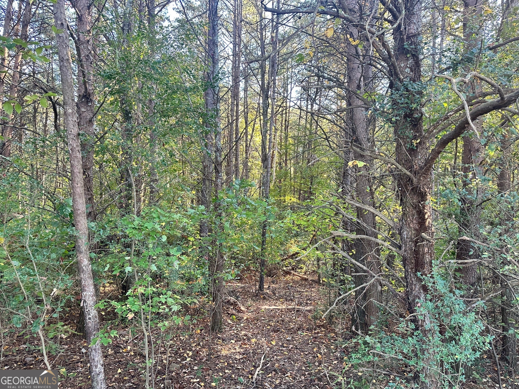 0 Highway 411 NE Rydal GA 30171