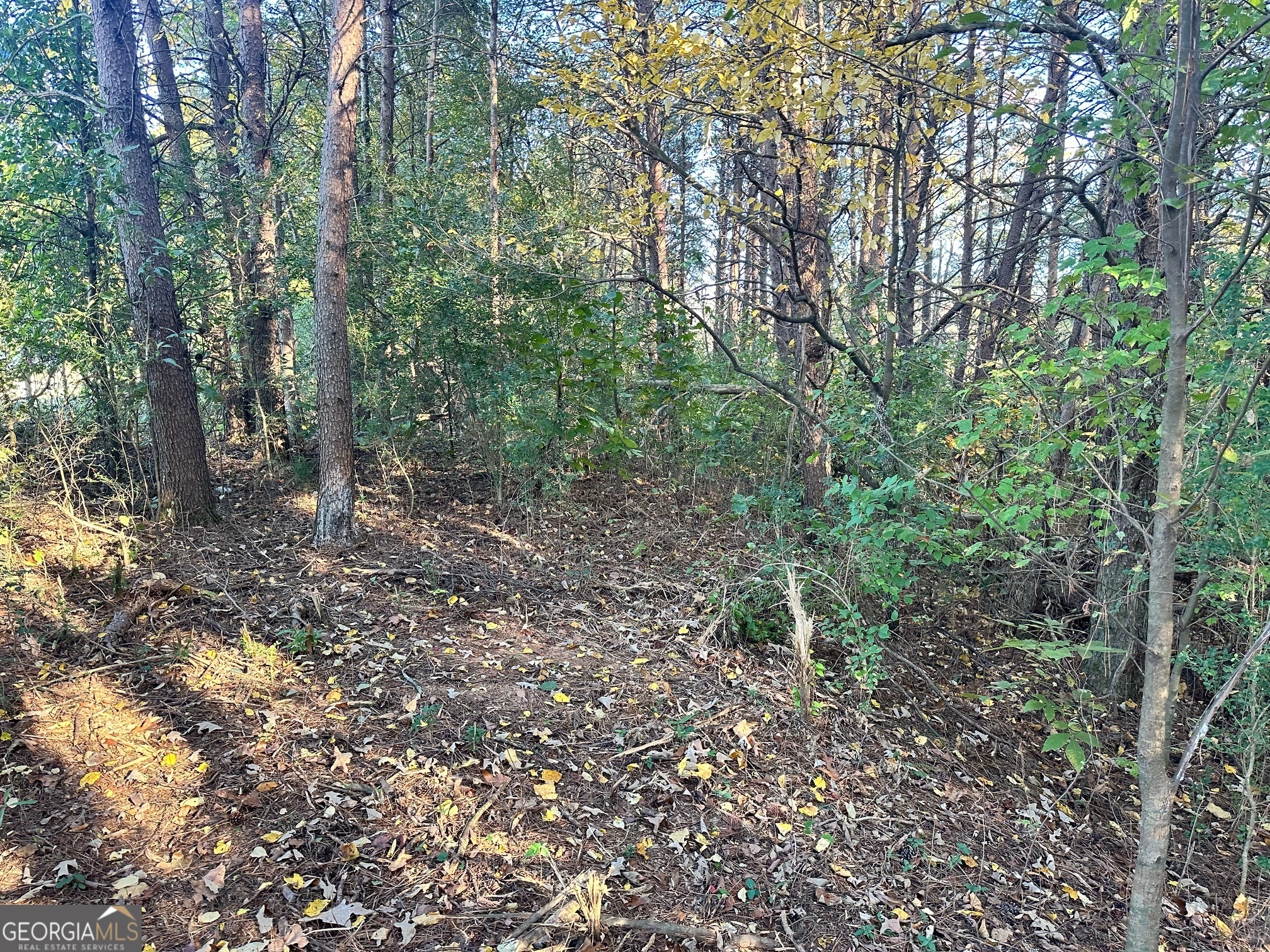 0 Highway 411 NE Rydal GA 30171