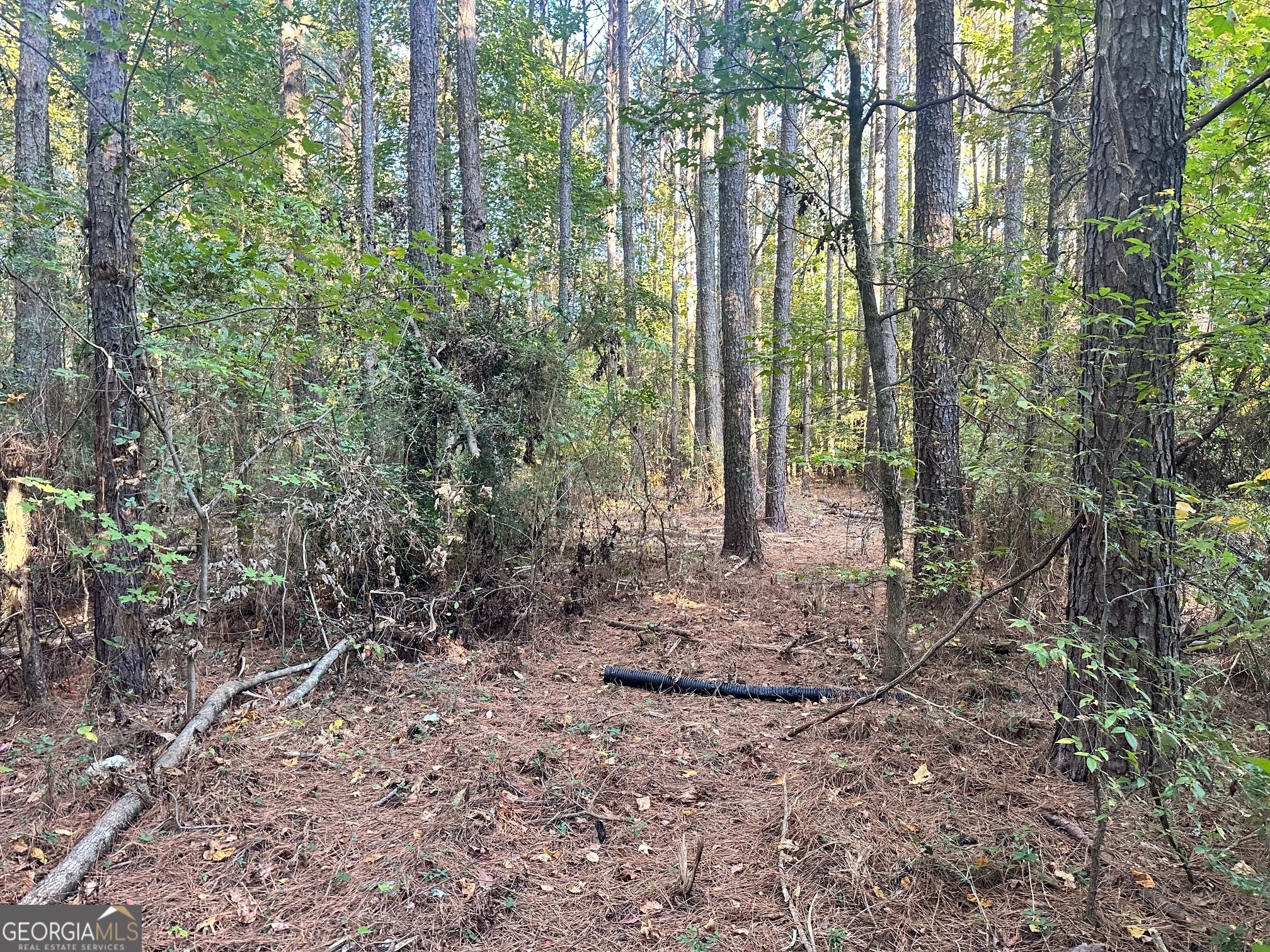0 Highway 411 NE Rydal GA 30171