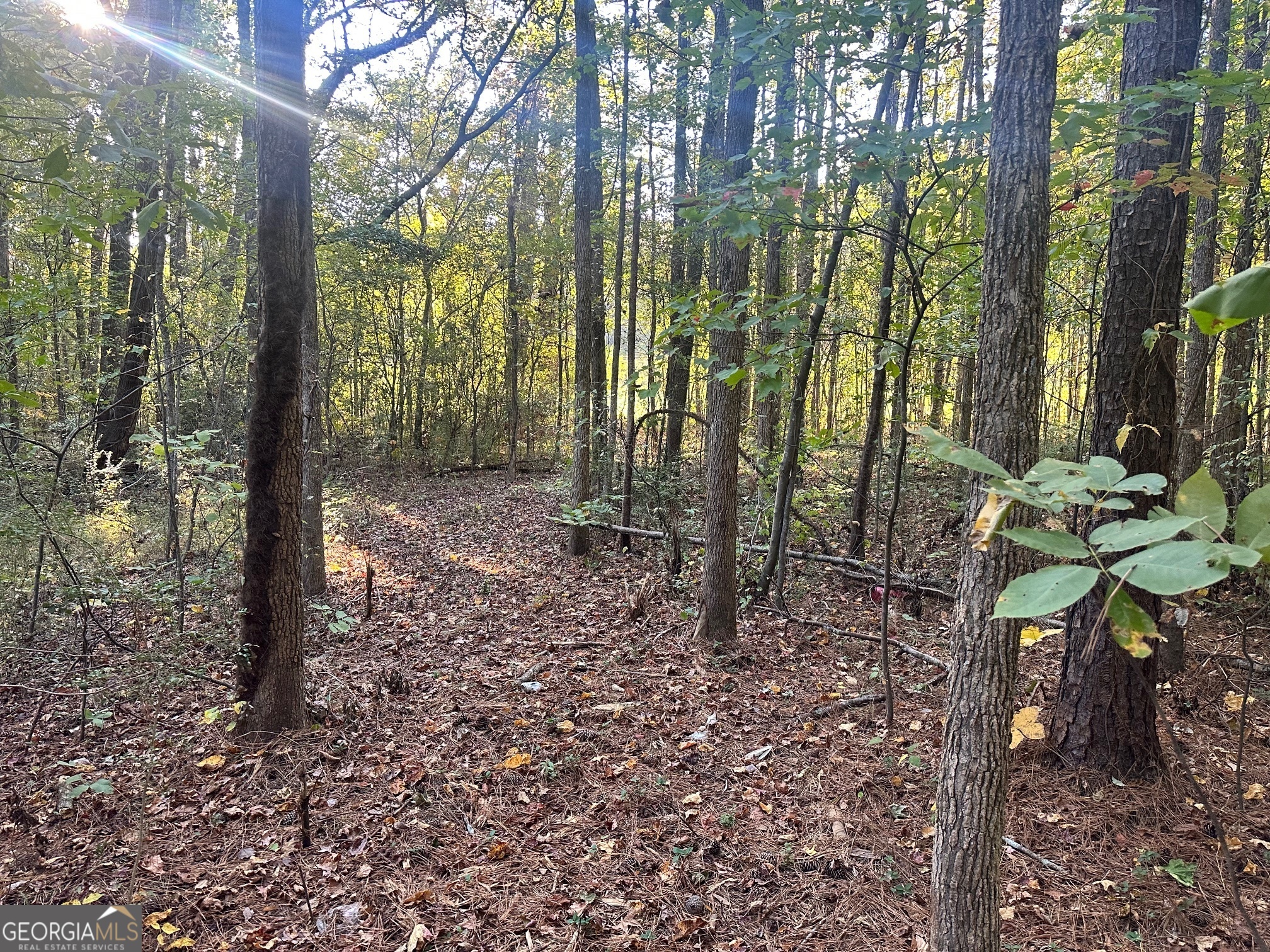0 Highway 411 NE Rydal GA 30171