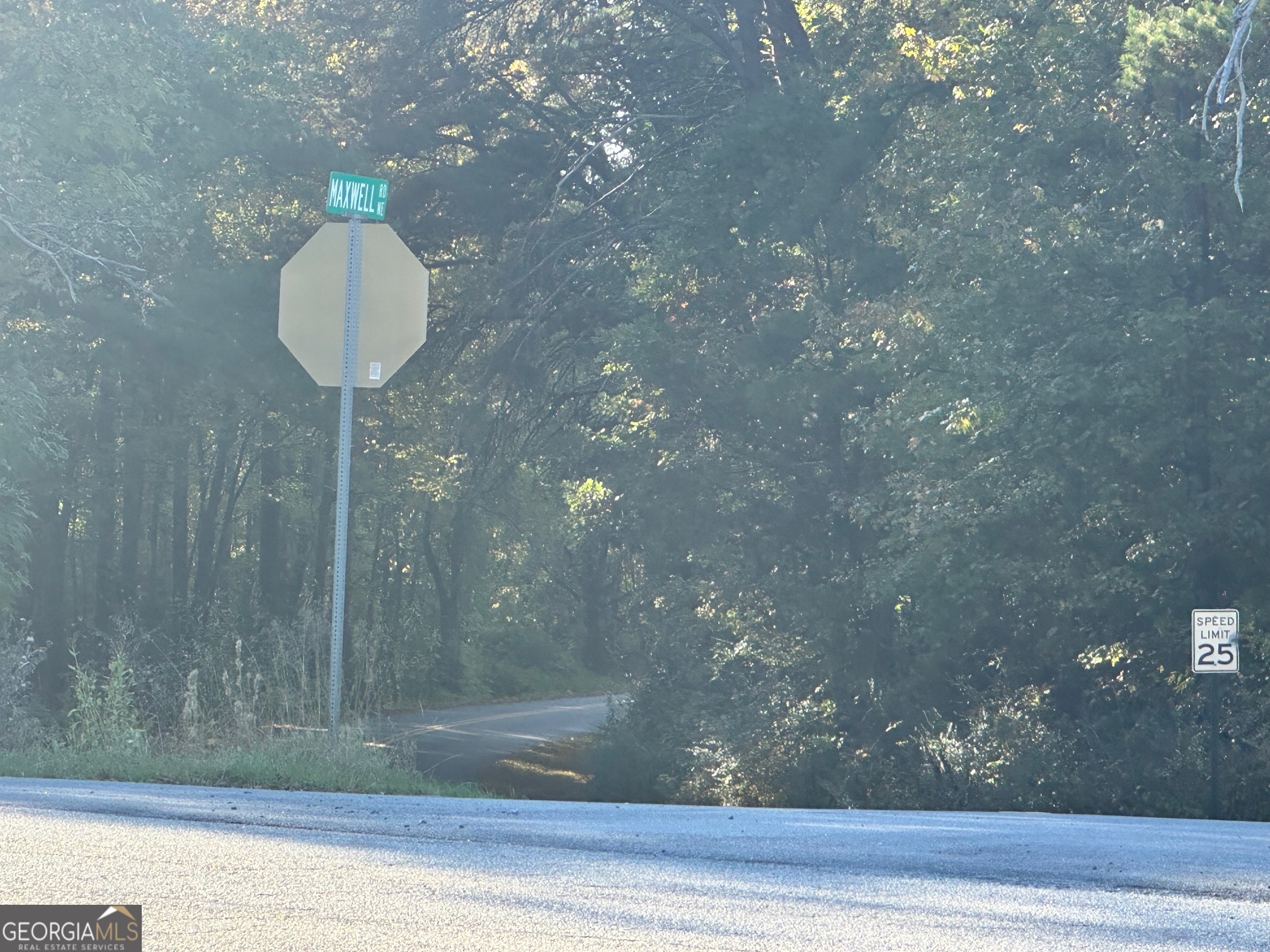 0 Highway 411 NE Rydal GA 30171