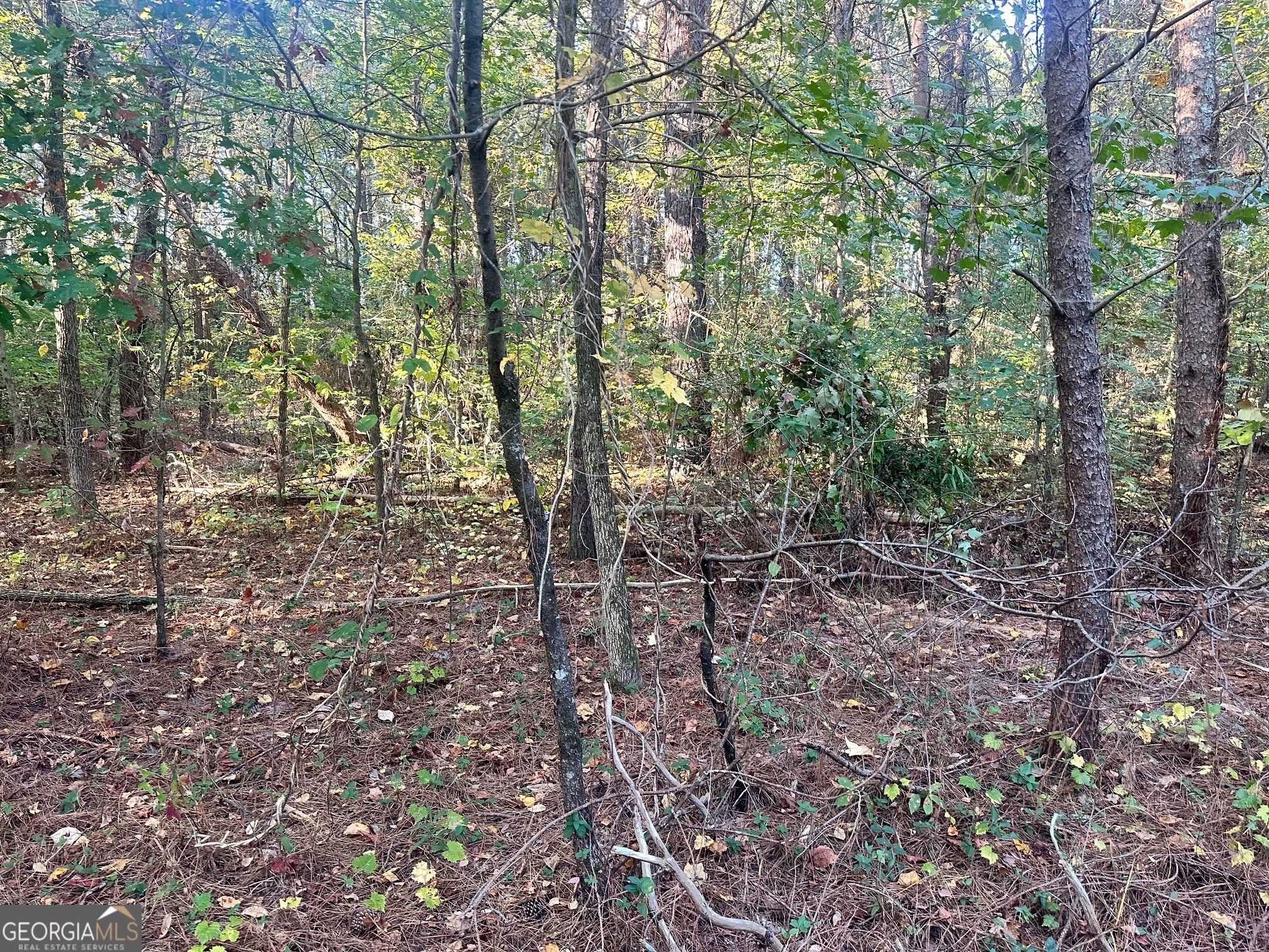 0 Highway 411 NE Rydal GA 30171