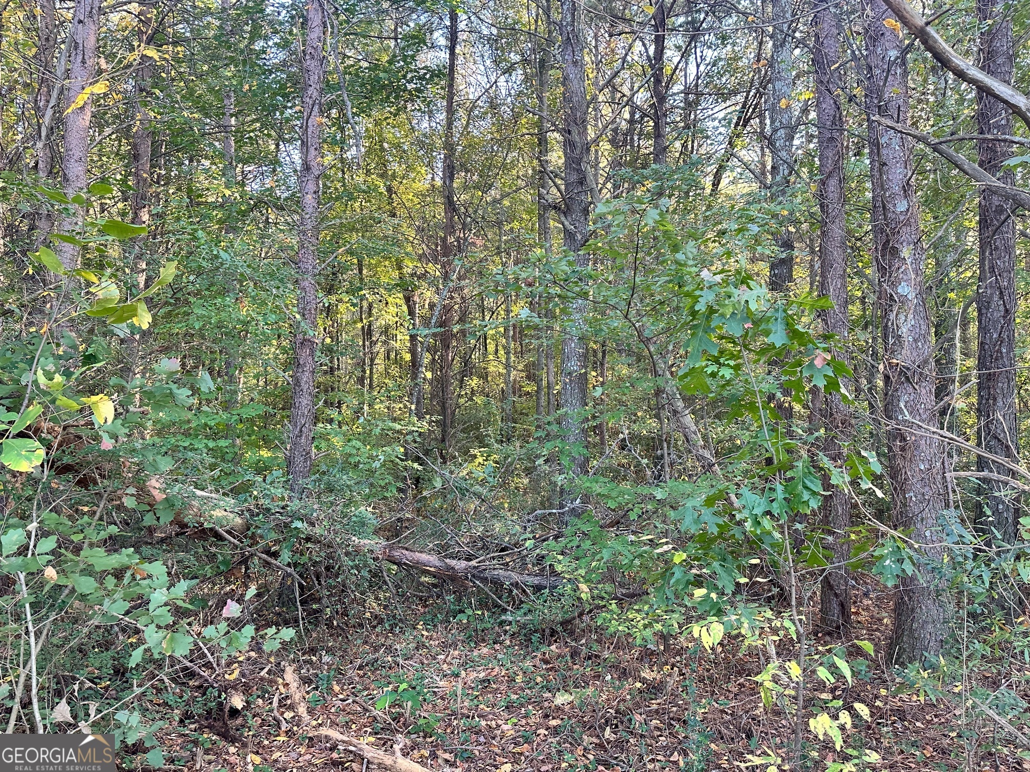 0 Highway 411 NE Rydal GA 30171