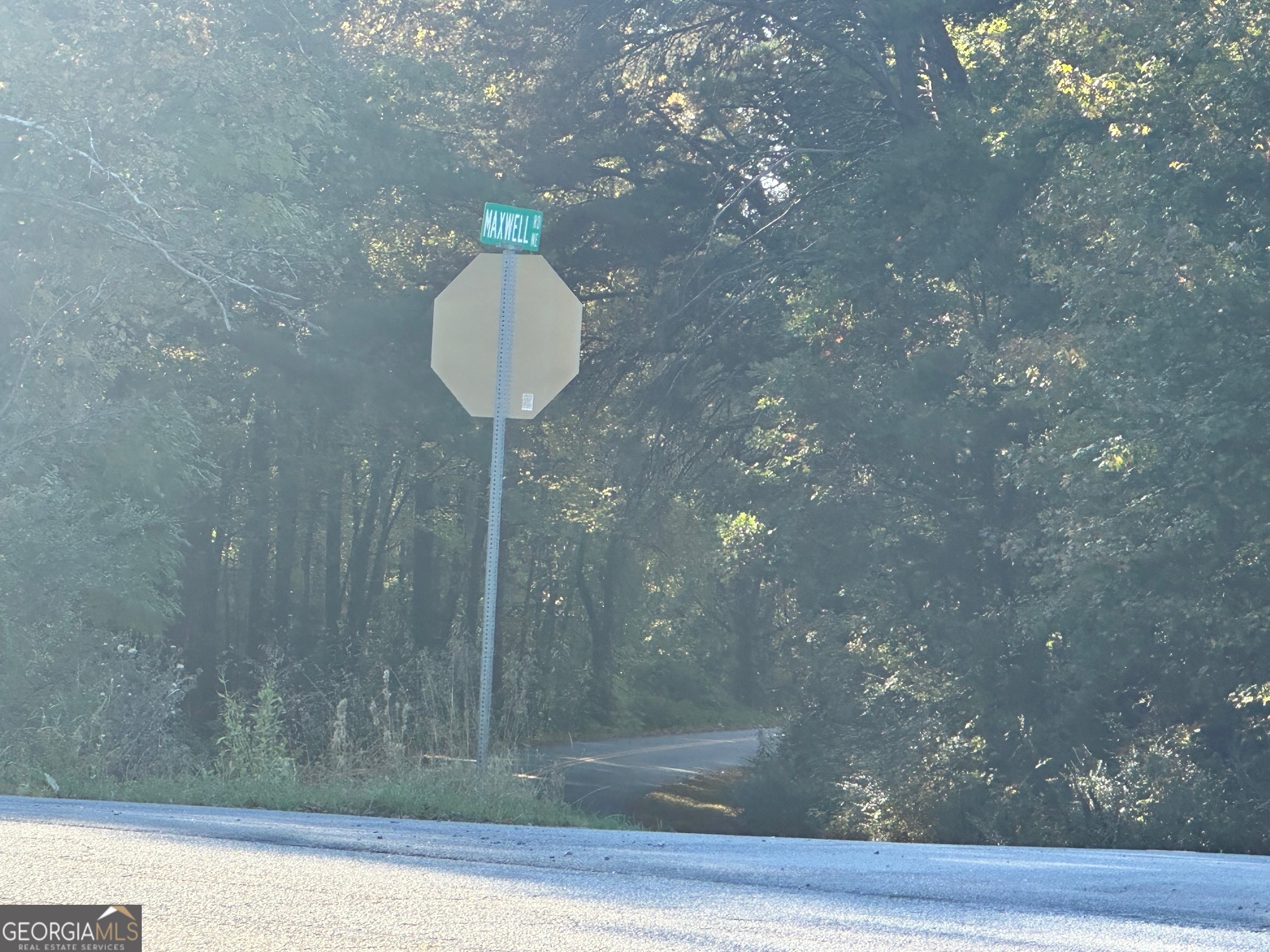 0 Highway 411 NE Rydal GA 30171
