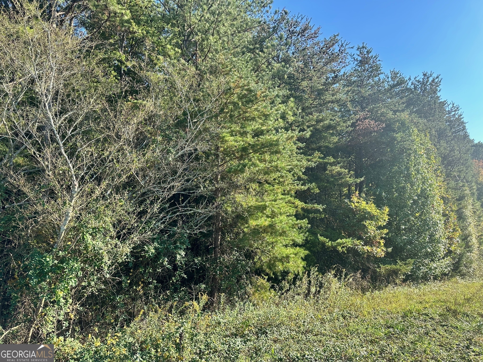 0 Highway 411 NE Rydal GA 30171