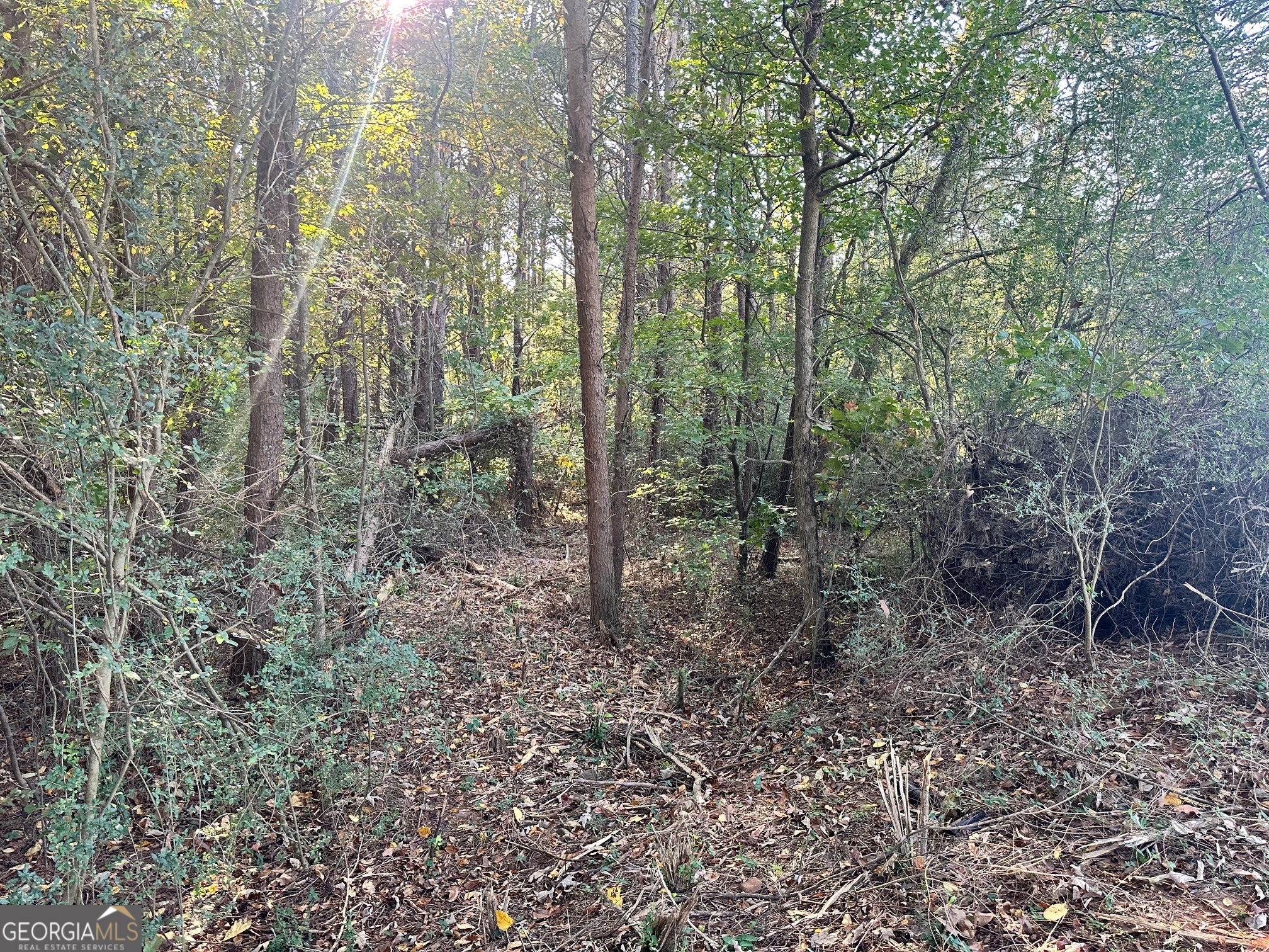 0 Highway 411 NE Rydal GA 30171